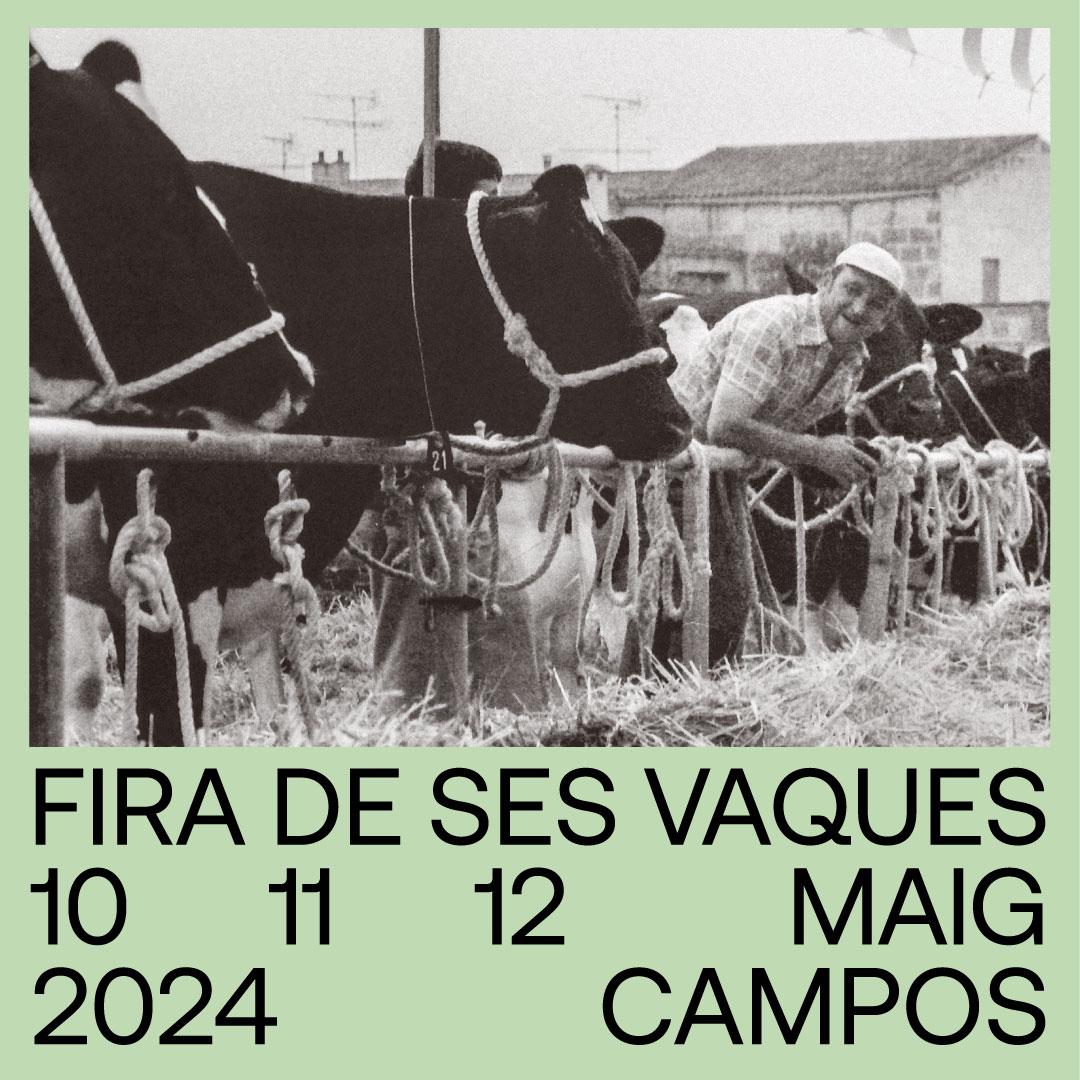FIRA DE SES VAQUES MAIG 2024 CAMPOS MALLORCA